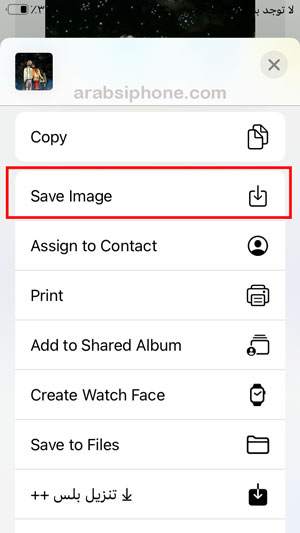 اختر save image لحفظ الصورة 